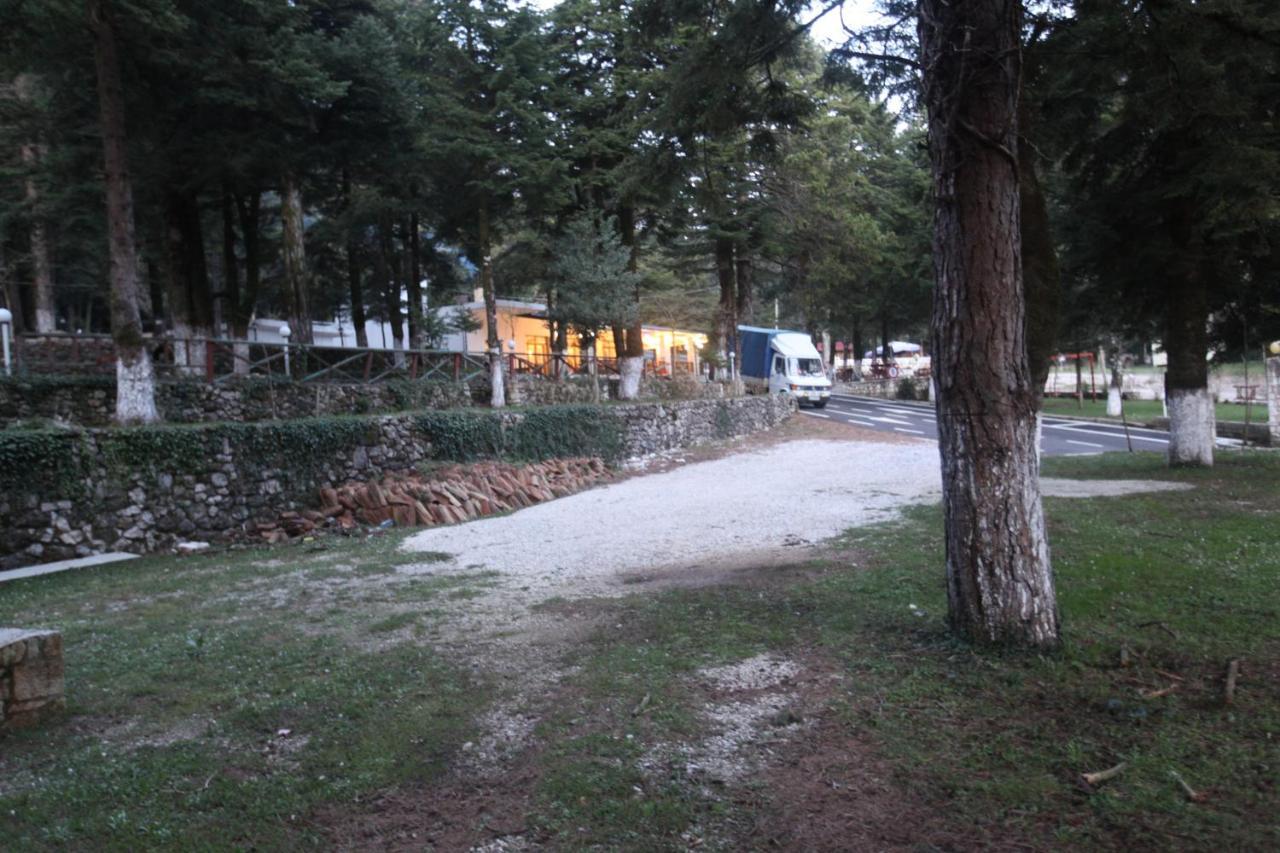 Bujtina Uji I Panjes, Log Cabins Dukat 外观 照片