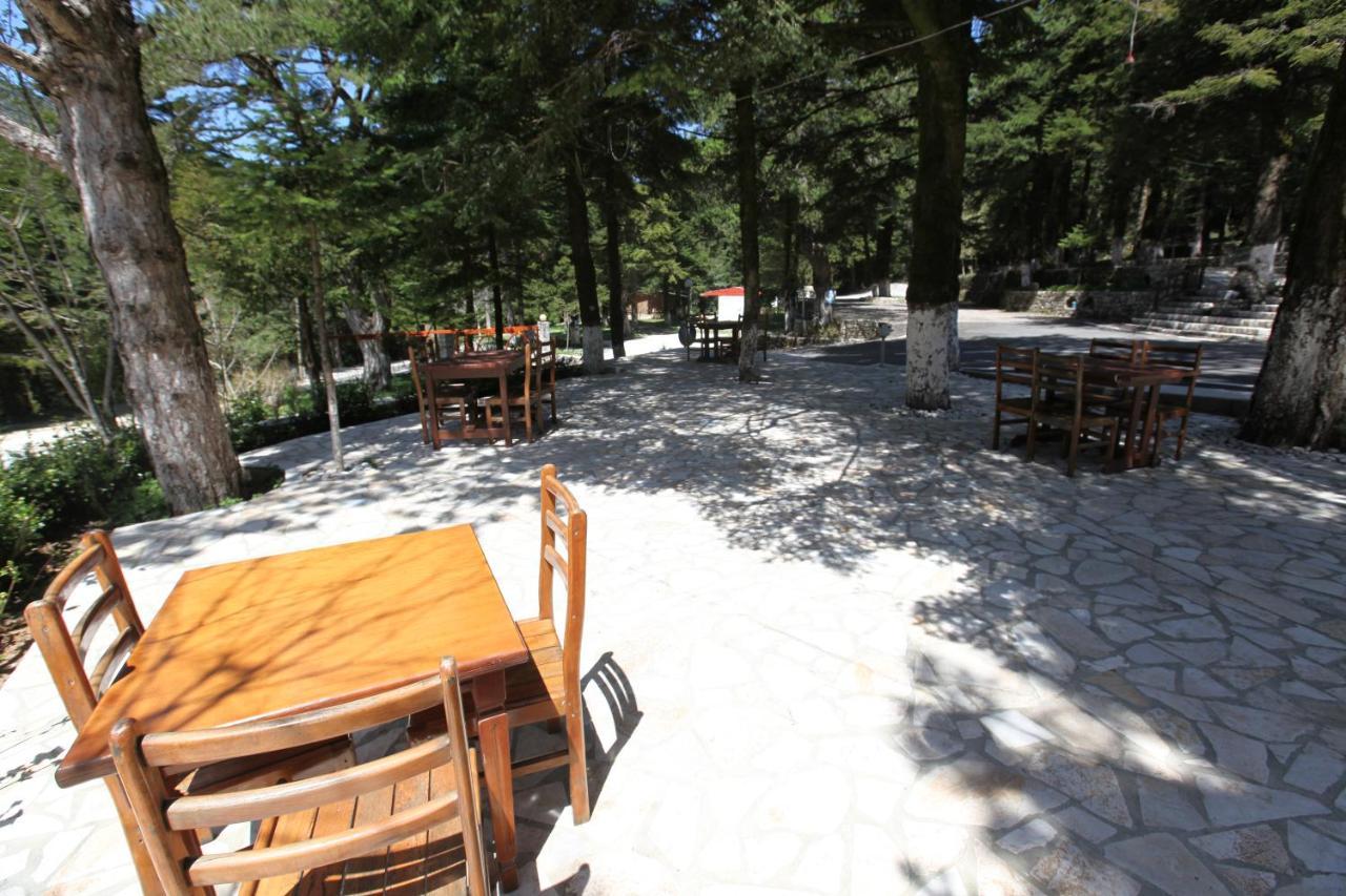 Bujtina Uji I Panjes, Log Cabins Dukat 外观 照片
