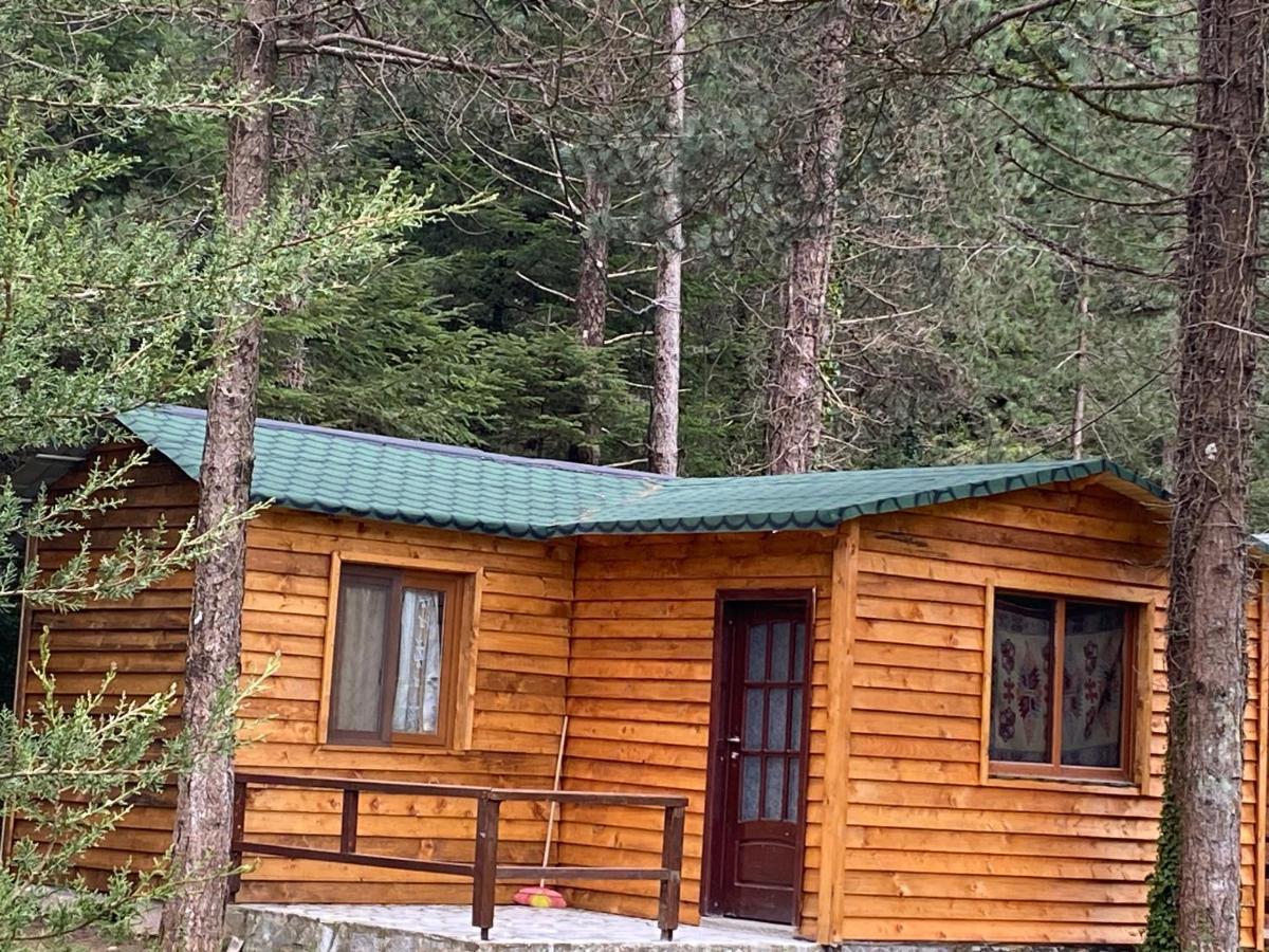 Bujtina Uji I Panjes, Log Cabins Dukat 外观 照片