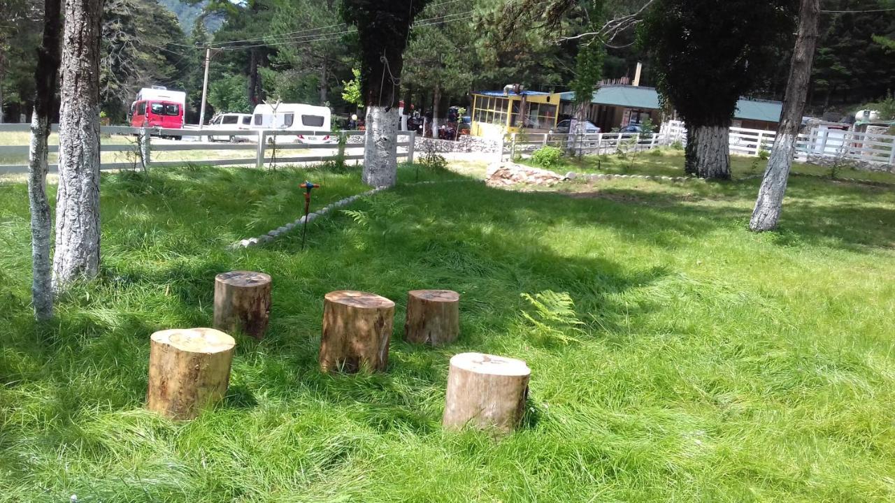 Bujtina Uji I Panjes, Log Cabins Dukat 外观 照片